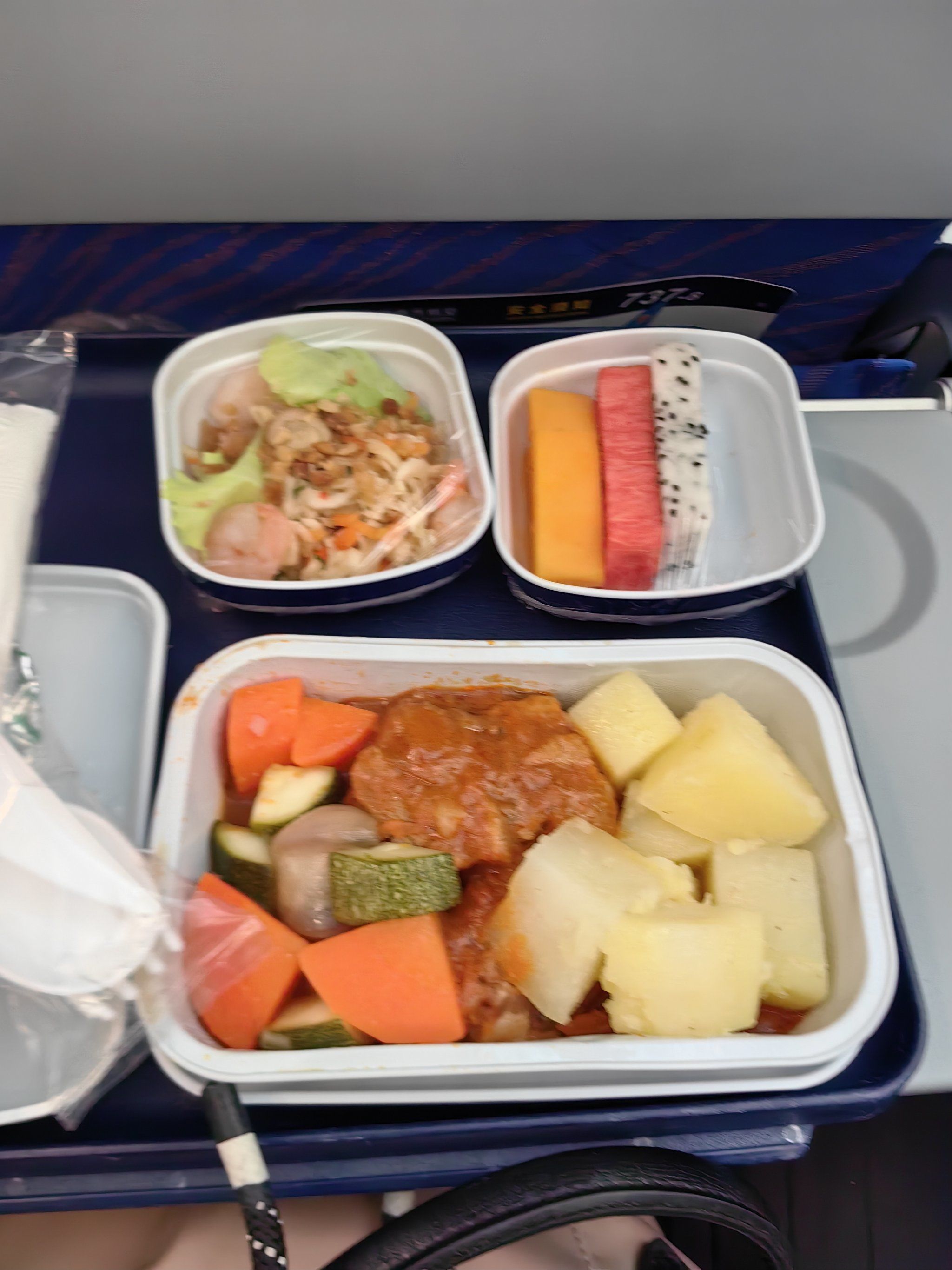 度过难熬的飞机✈时光
图1是大人餐,土豆鸡肉
图2是儿童餐
