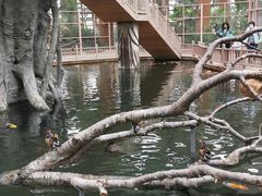 -南宫五洲植物乐园