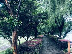 -石燕湖生态旅游景区