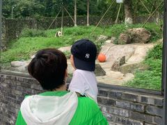 -都江堰中华大熊猫苑