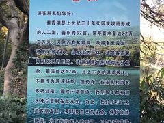 -紫霞湖公园