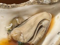 -蚝翅·海鲜粥·烧烤·龙虾季(海曙天一店)