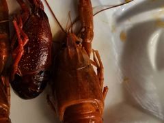 秘制超大醉虾-聚汇三少·龙虾·中餐厅(莫邪路新天地店)