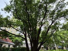 -徐家汇源景区-衡山公园