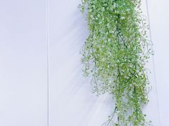 -李二哥·乐山跷脚牛肉(四川北路店)