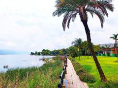 -昆明柏联SPA温泉