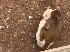 -昆明动物园