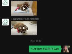 -爱妮康宠物医院·干细胞免疫细胞·肿瘤·心脏(张江店)