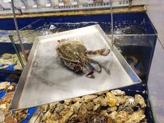 -高佳庄·舟山海鲜(海景旗舰店)