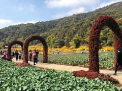 -广州市石门国家森林公园