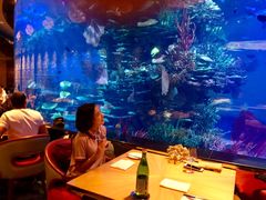-迪拜帆船酒店海底餐厅