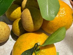 -季季山·云南野生菌火锅(上海首店)