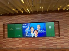 -香港大学