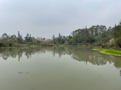 -桤木河湿地公园