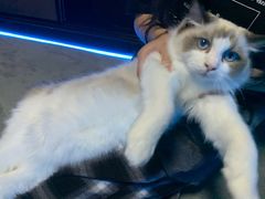 -零纪元VR体验馆·桌游(黄浦店)