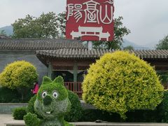 -阳台山自然风景区