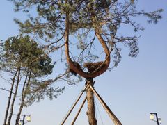 -汉长安城未央宫国家考古遗址公园