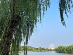 -七桥瓮公园