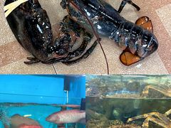 -老船长海鲜大排档(集美店)