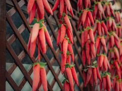 -正宗天津烧麦馆(柳州路店)