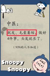 -Bollins波林丝•专研护发中心