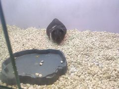 -昆明大悦城未来动物城(螺蛳湾中心店)