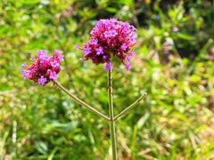 -哈尔滨北方森林动物园