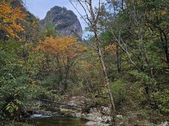 -朱雀国家森林公园