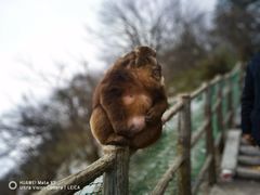 -峨眉山风景名胜区