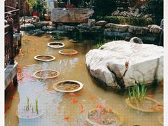 -聚缘堂·海鲜私房菜(松岭路店)