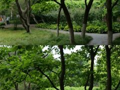-南山植物园