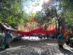 -西双版纳原始森林公园