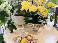-花神·轻食简餐·咖啡馆·花卉绿植(荷兰花卉小镇店)