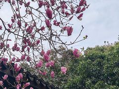 -西湖风景区十里琅珰-五云山