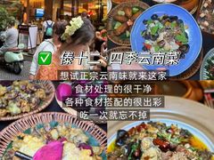 -西双版纳原始森林公园