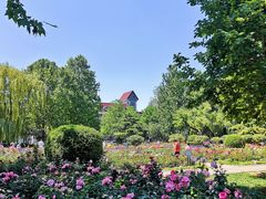 -天津五大道文化旅游区