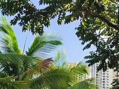 -亚马逊丛林水乐园