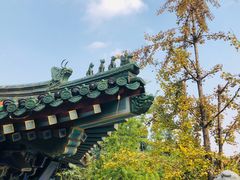 -阅江楼风景区