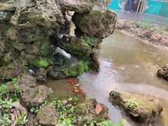 -无锡动物园·太湖欢乐园