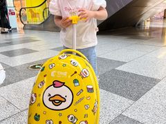 -七田真早期教育(荟聚中心)