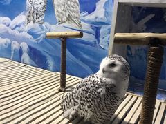 -成都浩海立方海洋公园