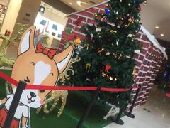 -万达广场(泰州海陵店)
