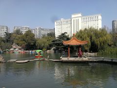 -西苑公园