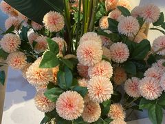 -花椒俏川菜小馆(南海万达店)