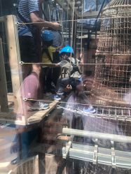 -PIPIKINGDOM皮皮王国欢乐号(欢乐海岸购物中心店)