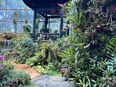 -东莞植物园