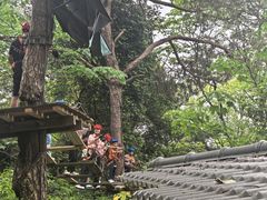 -芦仙山景区-飞越丛林探险乐园