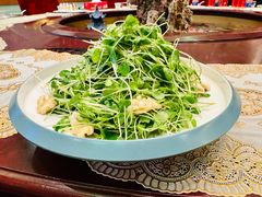 香椿苗拌桃仁-玉林烤鸭店(定福庄店)