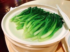 -欣悦府(城建大厦C座店)