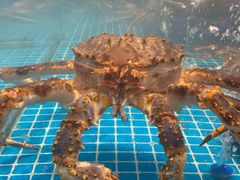 -田园居·佳宴(桑田路店)